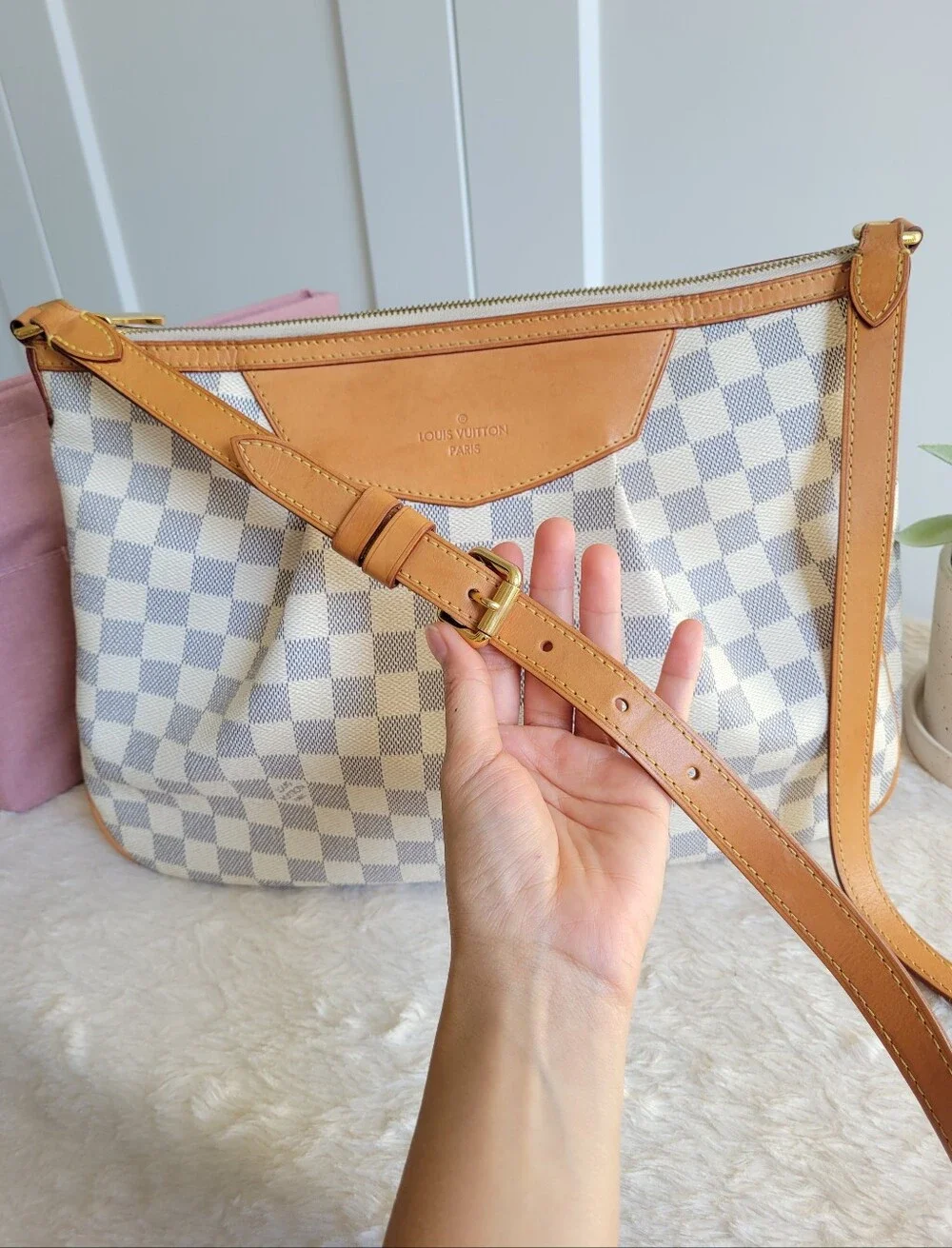 Louis Vuitton inside dustbag